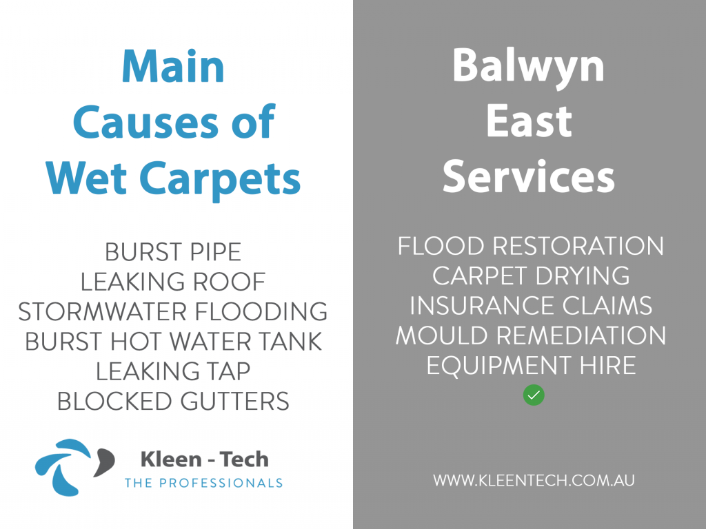 Carpet drying and flood damage restoration in Balwyn East
