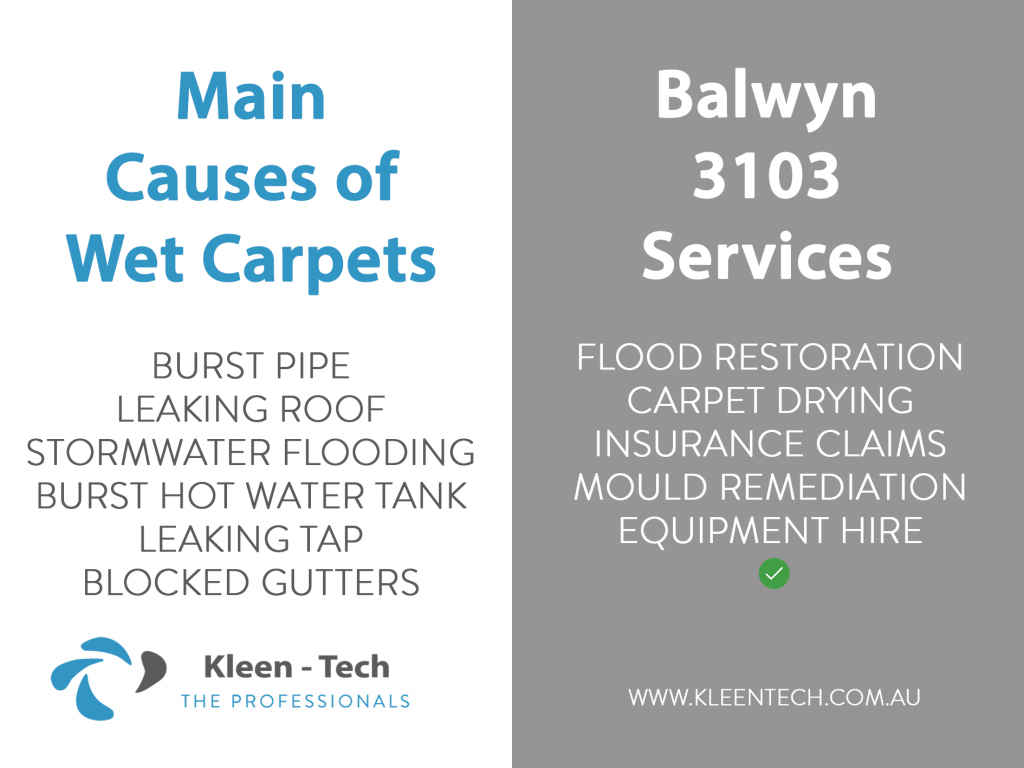 Carpet drying and flood damage services in Balwyn Melbourne