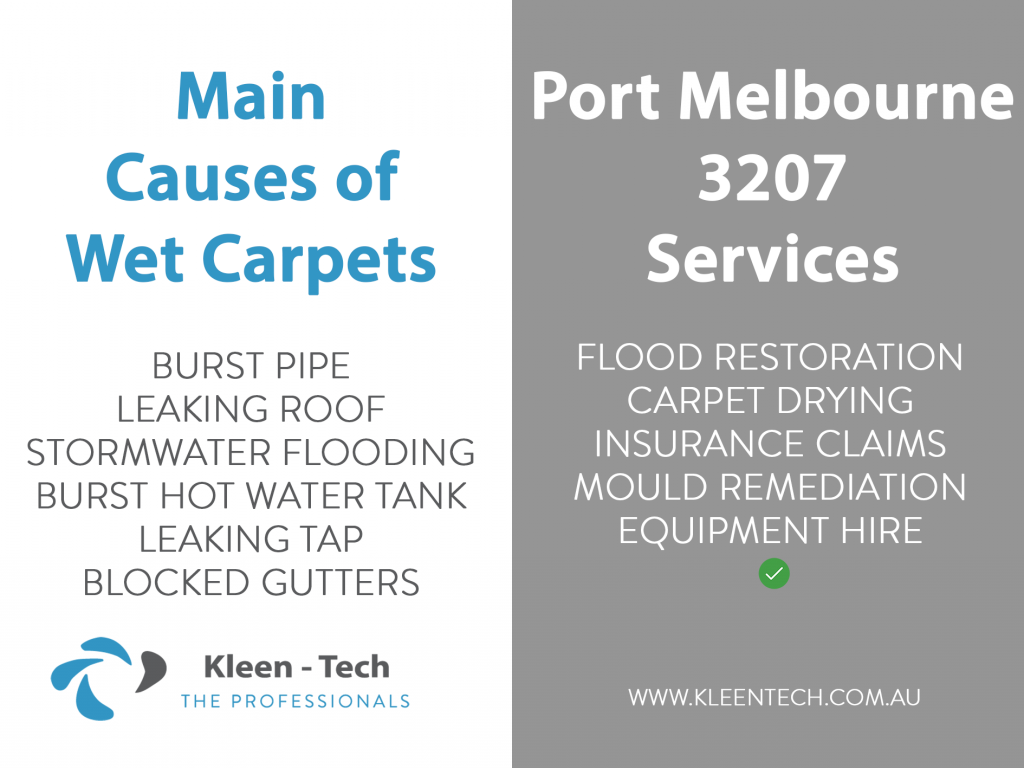 Causes of wet carpet drying in Port Melbourne