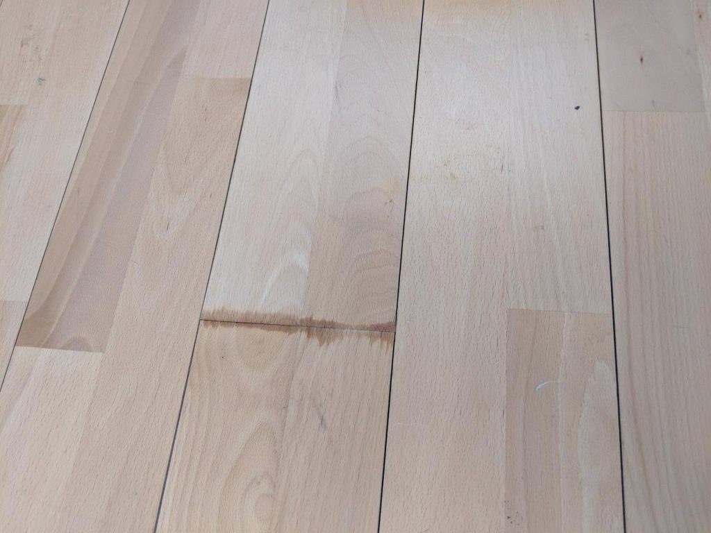 Mould Removal Hawthorn East Melbourne Kleen-Tech