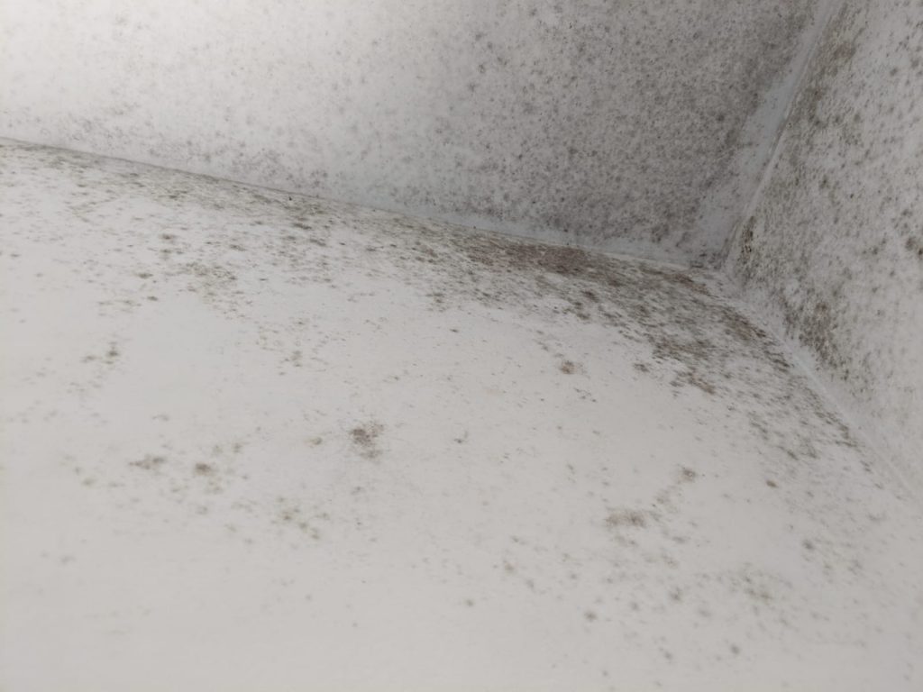 Mold Removal Lang Lang East Melbourne Kleen-Tech