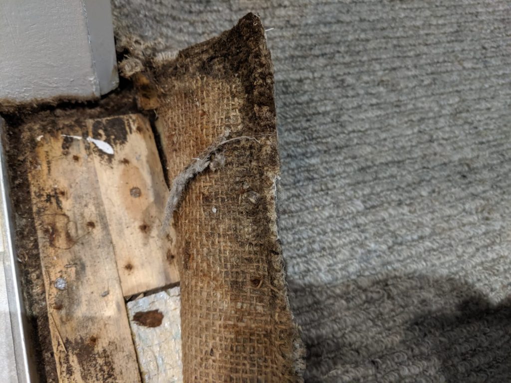 Mould Removal And Flood Cleaning Warneet Melbourne Kleen-Tech