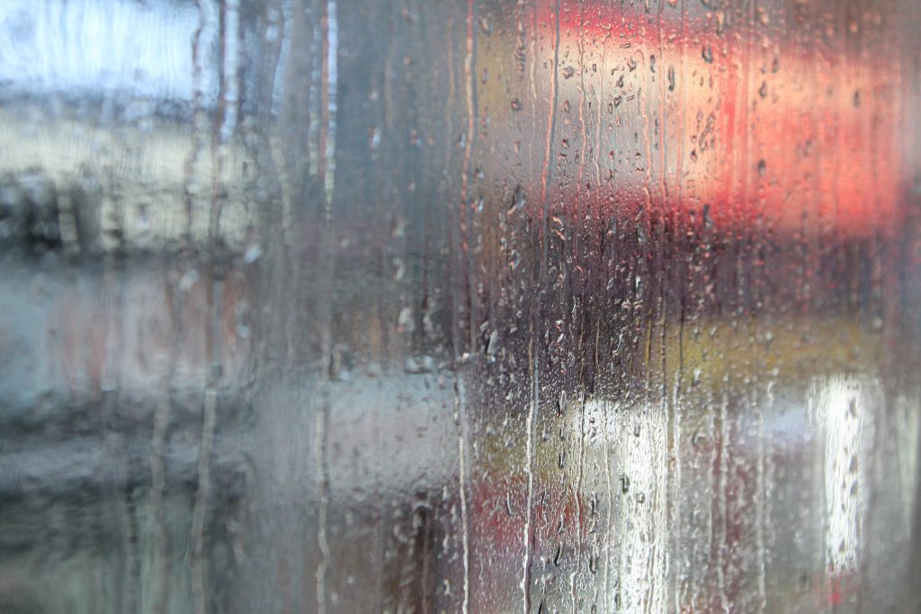 Flood cleaning in Bellfield Melbourne