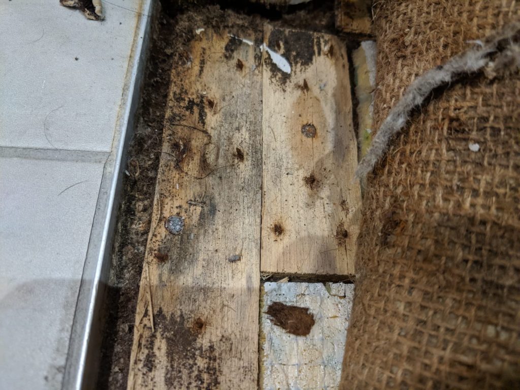 Mould Clean up in Auburn South