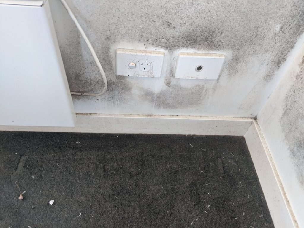 Mould Remediation and Testing in Coode Island